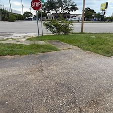 Helping-Pensacolas-Craft-Gourmet-Bakery-Shine-for-Their-Grand-Opening 3