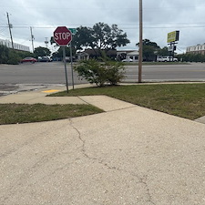 Helping-Pensacolas-Craft-Gourmet-Bakery-Shine-for-Their-Grand-Opening 4