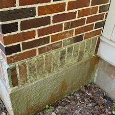 House-Soft-Washing-and-Pool-Deck-Cleaning-in-Pensacola-Floridas-East-Hill-Neighborhood 3