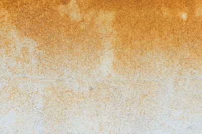 Second Banner Image